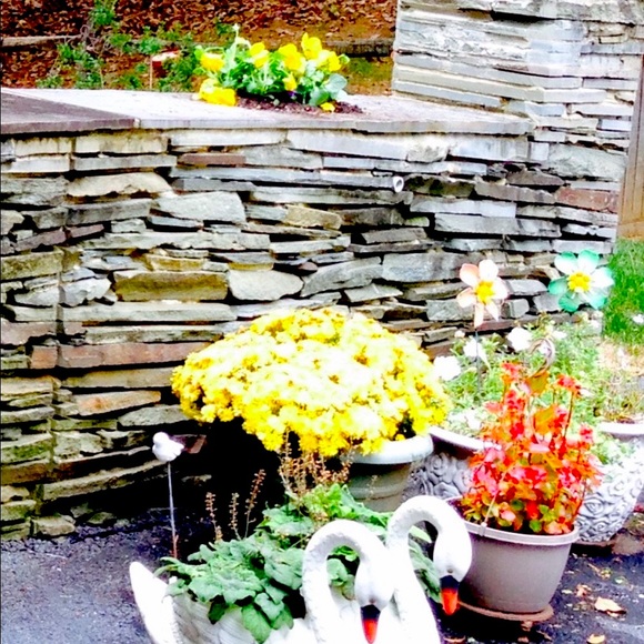 Make Me A Reasonable Offer—Buy with confidence. - Picture 5 of 9